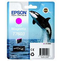 Epson Original Tintenpatrone magenta C13T76034010