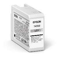 Epson Original Tintenpatrone fotograu C13T47A900