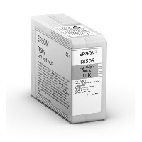 Epson Original Tintenpatrone schwarz hell hell C13T850900
